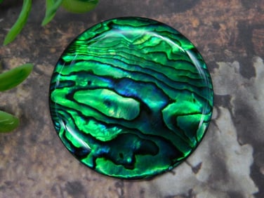 ABALONE CABOCHON ROCK STONE LAPIDARY SPECIMEN