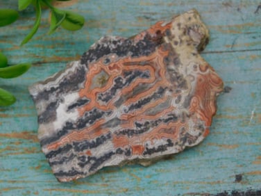 RARE LACE AGATE SLAB ROCK STONE LAPIDARY SPECIMEN