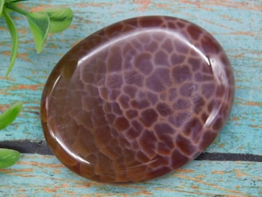 FIRE AGATE PALM STONE ROCK STONE LAPIDARY SPECIMEN