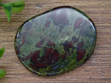 DRAGONS BLOODSTONE PALM STONE ROCK STONE LAPIDARY SPECIMEN