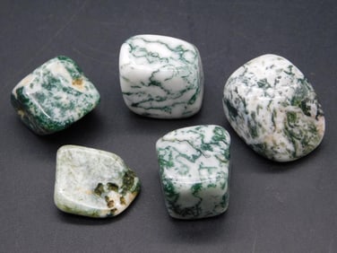 TREE AGATE ROCK STONE LAPIDARY SPECIMEN