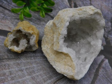 GEODES ROCK STONE LAPIDARY SPECIMEN