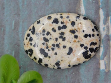 DALMATION JASPER CABOCHON ROCK STONE LAPIDARY SPECIMEN
