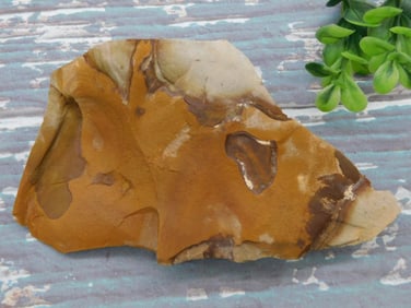 JASPER ROCK STONE LAPIDARY SPECIMEN