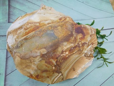 JASPER ROCK STONE LAPIDARY SPECIMEN