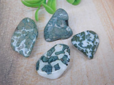 CAMOFLAUGE AGATE ROCK STONE LAPIDARY SPECIMEN