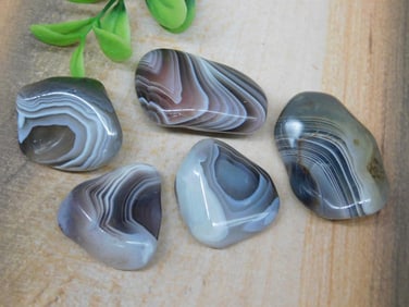 BOTSWANA AGATE ROCK STONE LAPIDARY SPECIMEN