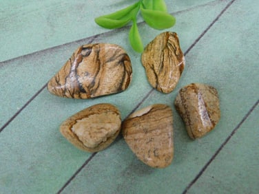 PICTURE JASPER ROCK STONE LAPIDARY SPECIMEN
