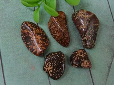 STARBURST JASPER ROCK STONE LAPIDARY SPECIMEN