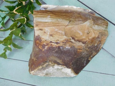 JASPER ROCK STONE LAPIDARY SPECIMEN