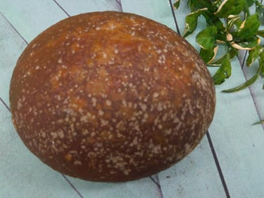 BRAZILIAN AGATE ROCK STONE LAPIDARY SPECIMEN