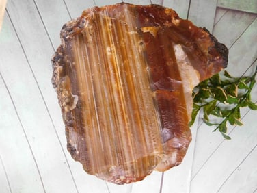 BRAZILIAN AGATE ROCK STONE LAPIDARY SPECIMEN
