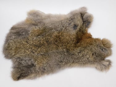 RABBIT PELT TAXIDERMY