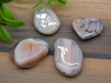 PEACH BOTSWANA AGATE ROCK STONE LAPIDARY SPECIMEN