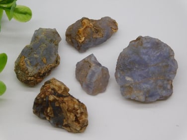 ELLENSBURG AGATE ROCK STONE LAPIDARY SPECIMEN