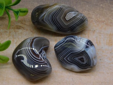 BOTSWANA AGATE ROCK STONE LAPIDARY SPECIMEN