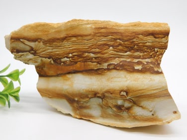 JASPER ROCK STONE LAPIDARY SPECIMEN