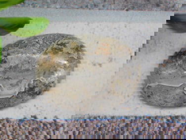 CABOCHON ROCK STONE LAPIDARY SPECIMEN