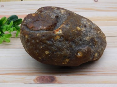 BRAZILIAN AGATE ROCK STONE LAPIDARY SPECIMEN