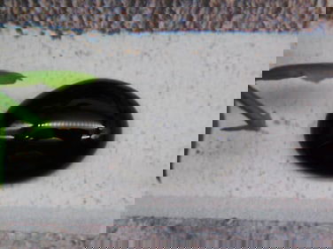 CABOCHON ROCK STONE LAPIDARY SPECIMEN