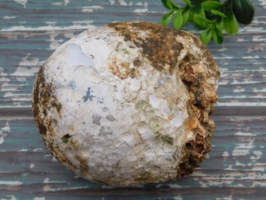 BRAZILIAN AGATE ROCK STONE LAPIDARY SPECIMEN