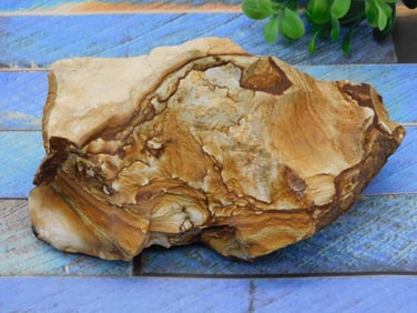 JASPER ROCK STONE LAPIDARY SPECIMEN