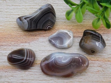 BOTSWANA AGATE ROCK STONE LAPIDARY SPECIMEN