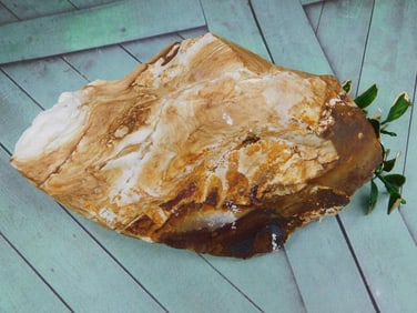 JASPER ROCK STONE LAPIDARY SPECIMEN