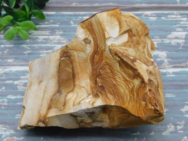 JASPER ROCK STONE LAPIDARY SPECIMEN