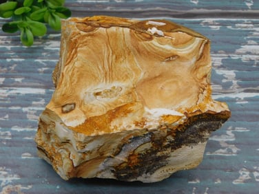 JASPER ROCK STONE LAPIDARY SPECIMEN