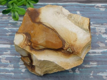 JASPER ROCK STONE LAPIDARY SPECIMEN