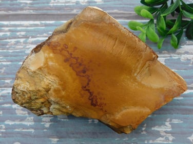 JASPER ROCK STONE LAPIDARY SPECIMEN