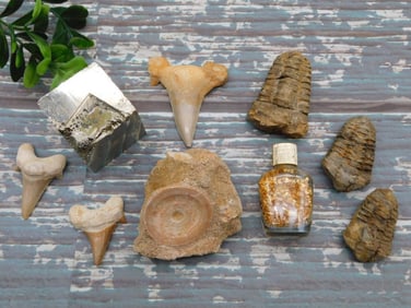 MIXED LOT ROCK STONE LAPIDARY SPECIMEN