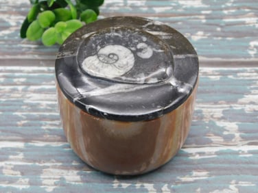 ORTHOCERAS TRINKET BOX ROCK STONE LAPIDARY SPECIMEN