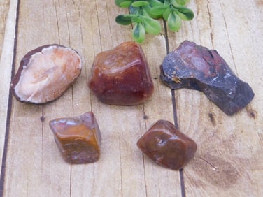 MIXED ROUGH LOT ROCK STONE LAPIDARY SPECIMEN