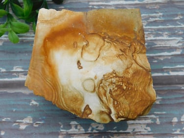 JASPER ROCK STONE LAPIDARY SPECIMEN