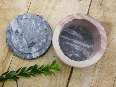 ORTHOCERAS TRINKET BOX ROCK STONE LAPIDARY SPECIMEN