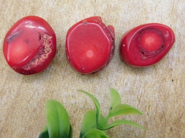 RED CORAL ROCK STONE LAPIDARY SPECIMEN