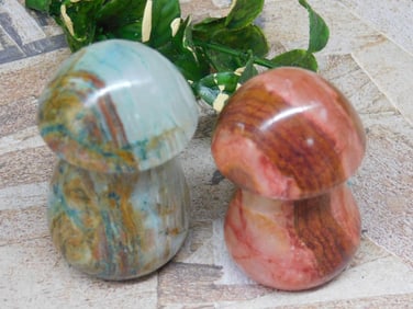 STONE MUSHROOMS ROCK STONE LAPIDARY SPECIMEN