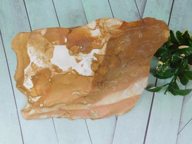 JASPER ROCK STONE LAPIDARY SPECIMEN