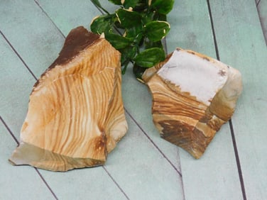 JASPER ROCK STONE LAPIDARY SPECIMEN