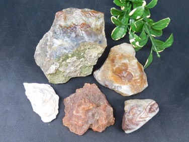 MIXED ROUGH LOT ROCK STONE LAPIDARY SPECIMEN