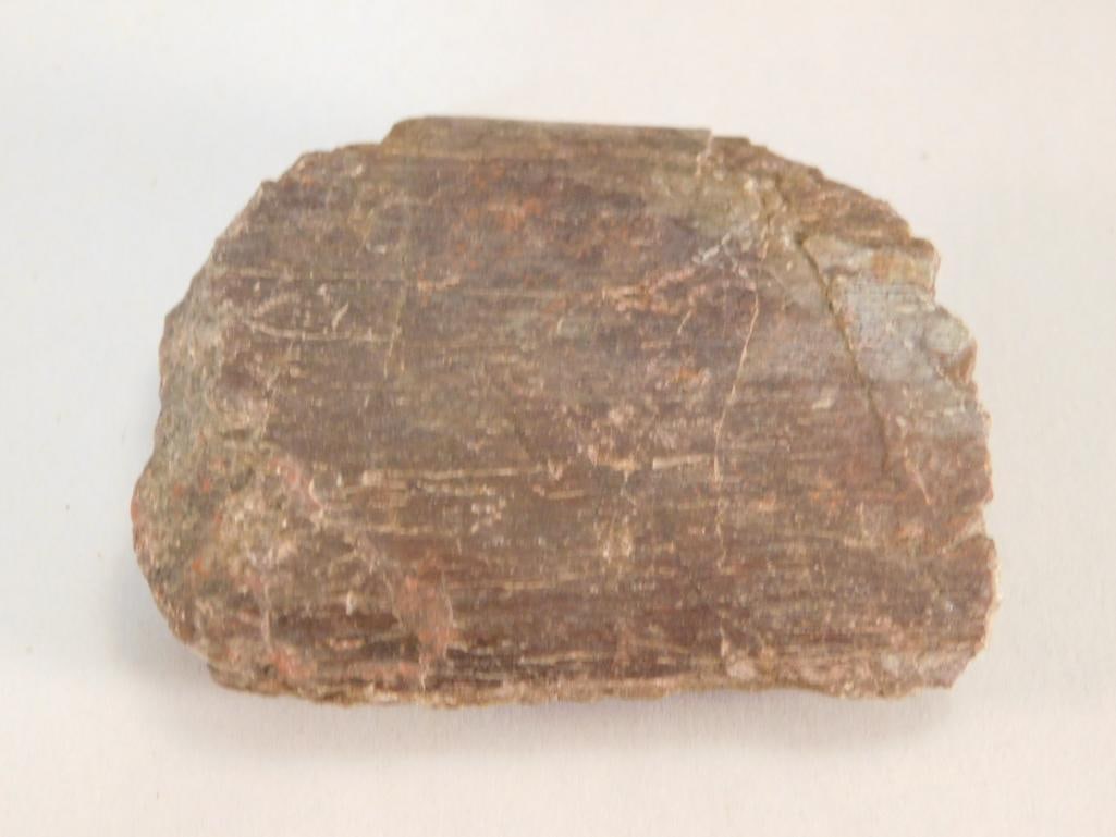 FOSSILIZED BONE ROCK STONE LAPIDARY SPECIMEN: FOSSILIZED BONE ROCK STONE LAPIDARY SPECIMEN