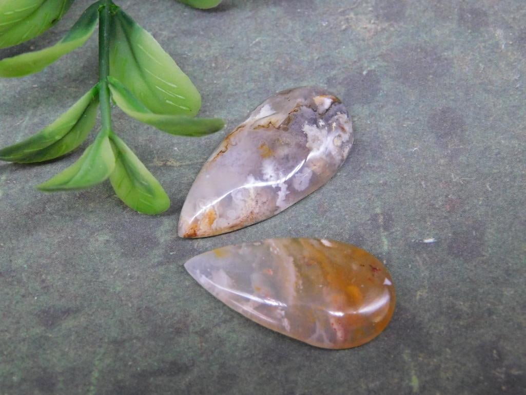 PLUME AGATE CABOCHONS ROCK STONE LAPIDARY SPECIMEN: PLUME AGATE CABOCHONS ROCK STONE LAPIDARY SPECIMEN