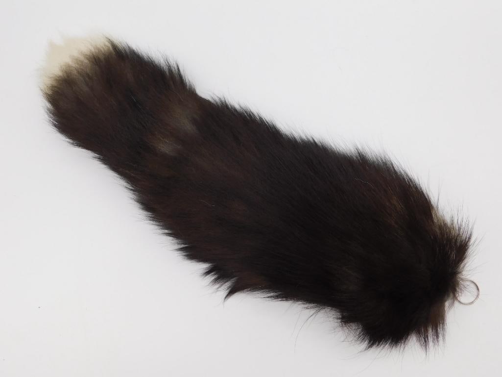 SILVER FOX TAIL TAXIDERMY ROCK STONE LAPIDARY SPECIMEN: SILVER FOX TAIL TAXIDERMY ROCK STONE LAPIDARY SPECIMEN