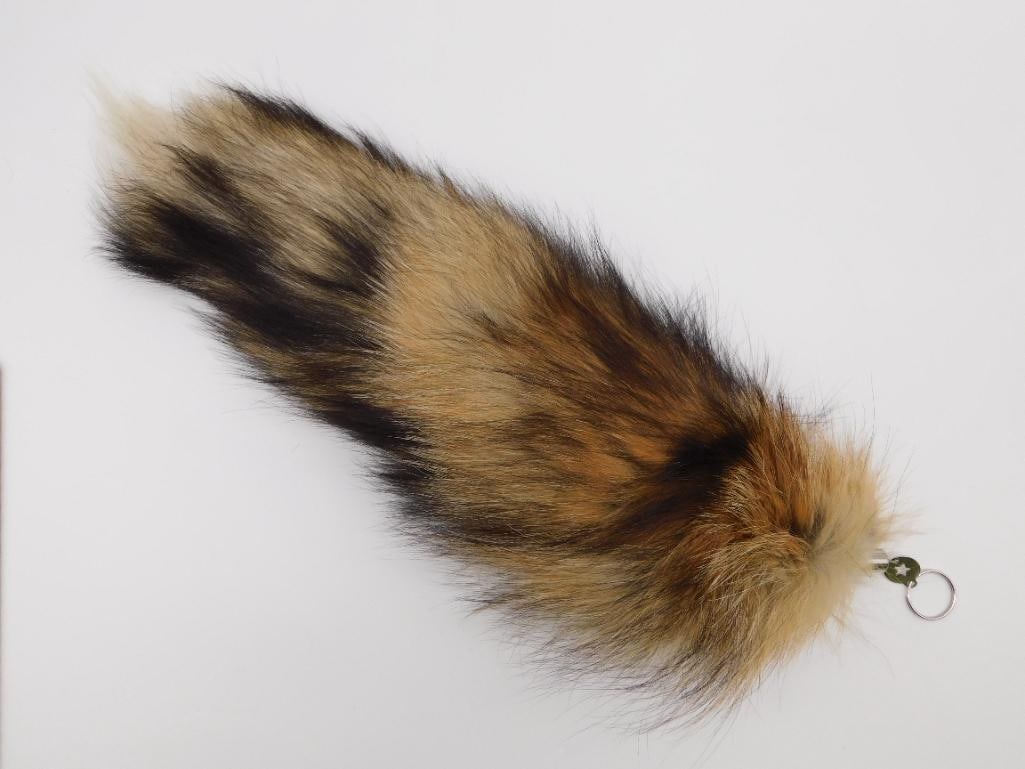 RED FOX TAIL TAXIDERMY ROCK STONE LAPIDARY SPECIMEN: RED FOX TAIL TAXIDERMY ROCK STONE LAPIDARY SPECIMEN