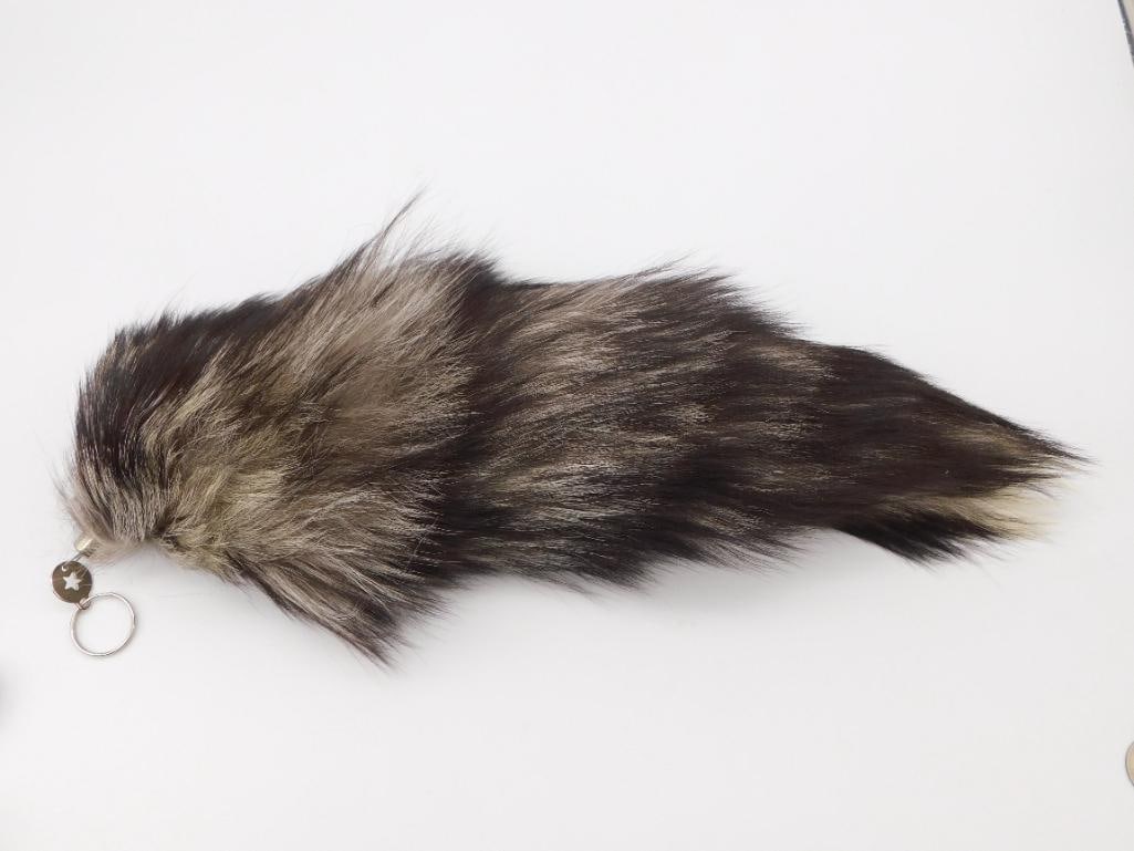 SILVER FOX TAIL TAXIDERMY ROCK STONE LAPIDARY SPECIMEN: SILVER FOX TAIL TAXIDERMY ROCK STONE LAPIDARY SPECIMEN