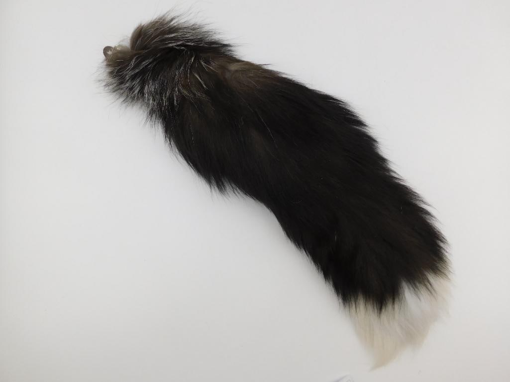 SILVER FOX TAIL TAXIDERMY ROCK STONE LAPIDARY SPECIMEN: SILVER FOX TAIL TAXIDERMY ROCK STONE LAPIDARY SPECIMEN