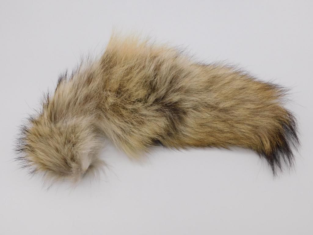 RED FOX TAIL TAXIDERMY ROCK STONE LAPIDARY SPECIMEN: RED FOX TAIL TAXIDERMY ROCK STONE LAPIDARY SPECIMEN
