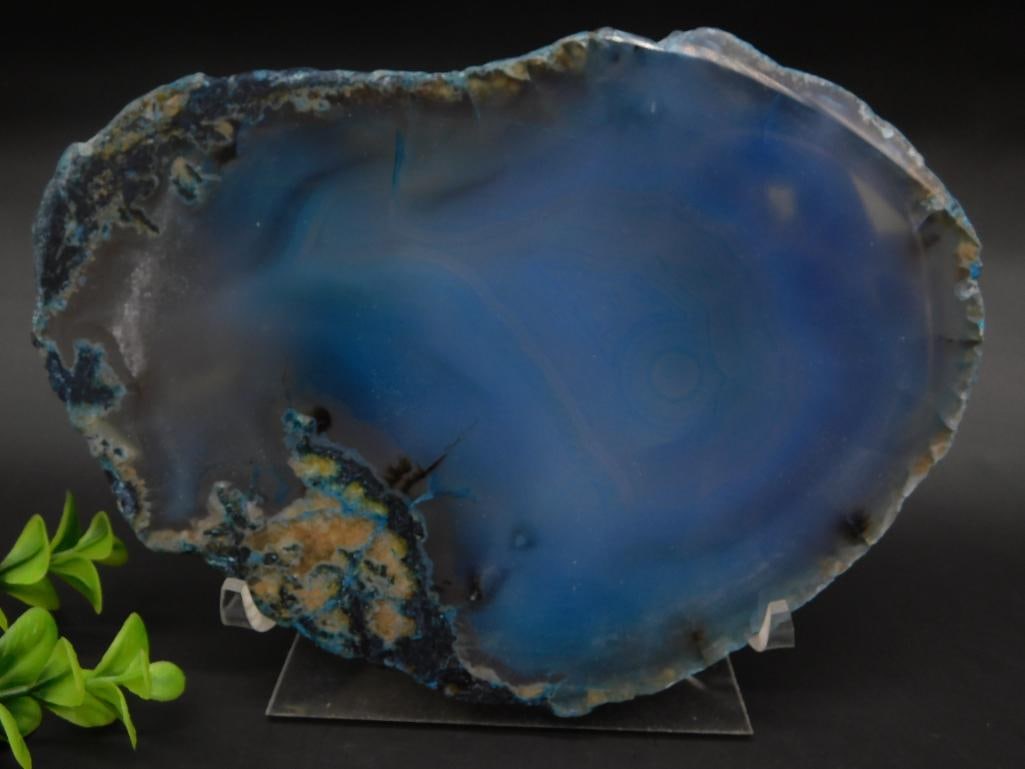 AGATE SLICE ROCK STONE LAPIDARY SPECIMEN: AGATE SLICE ROCK STONE LAPIDARY SPECIMEN